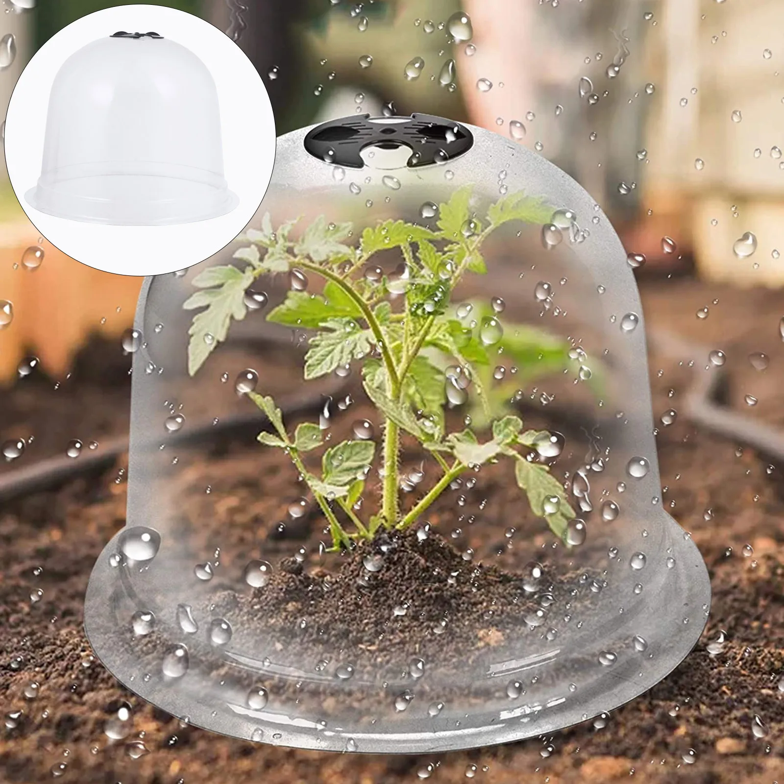 

6Pcs Plant Dome Bell Cover Set with 10 Labels 18 Securing Nails Uv Resistant Weatherproof Frost Protection Garden Plant Dome Kit
