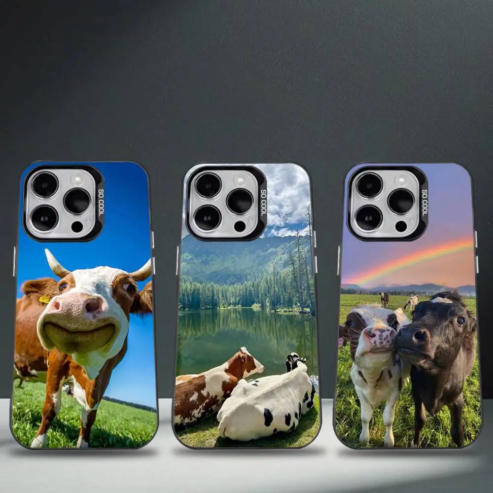 

Lovely Cute Cow Cows OX Phone Case For iPhone 16,15,14,13,12,11,8,7,Pro,Max,Plus,Mini,XS,SE Anti Fall Black Matte Hard