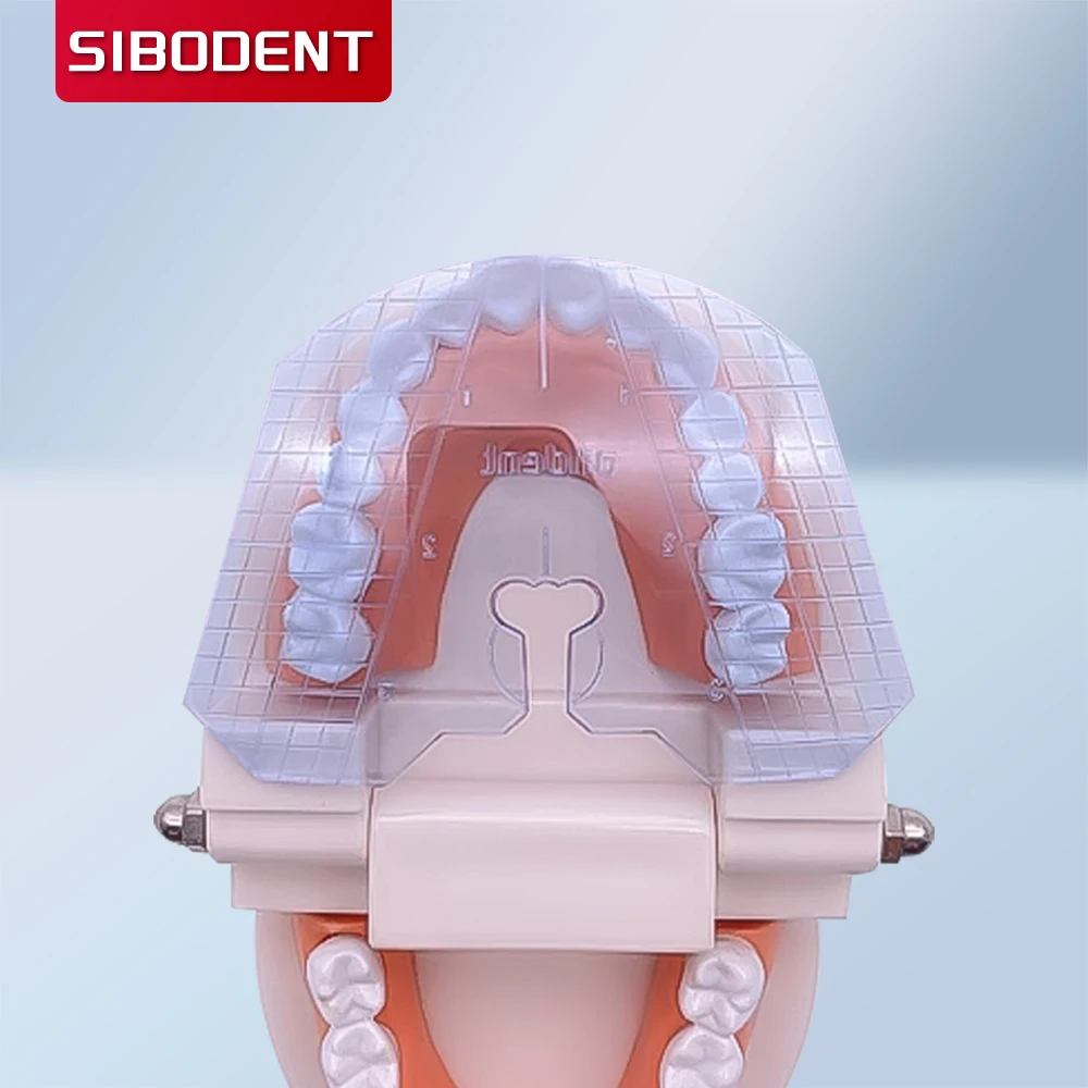 

Placa guía dental. Arreglo de dientes en dentadura para alinear dentaduras postizas. Herramientas de medición del dent. lab
