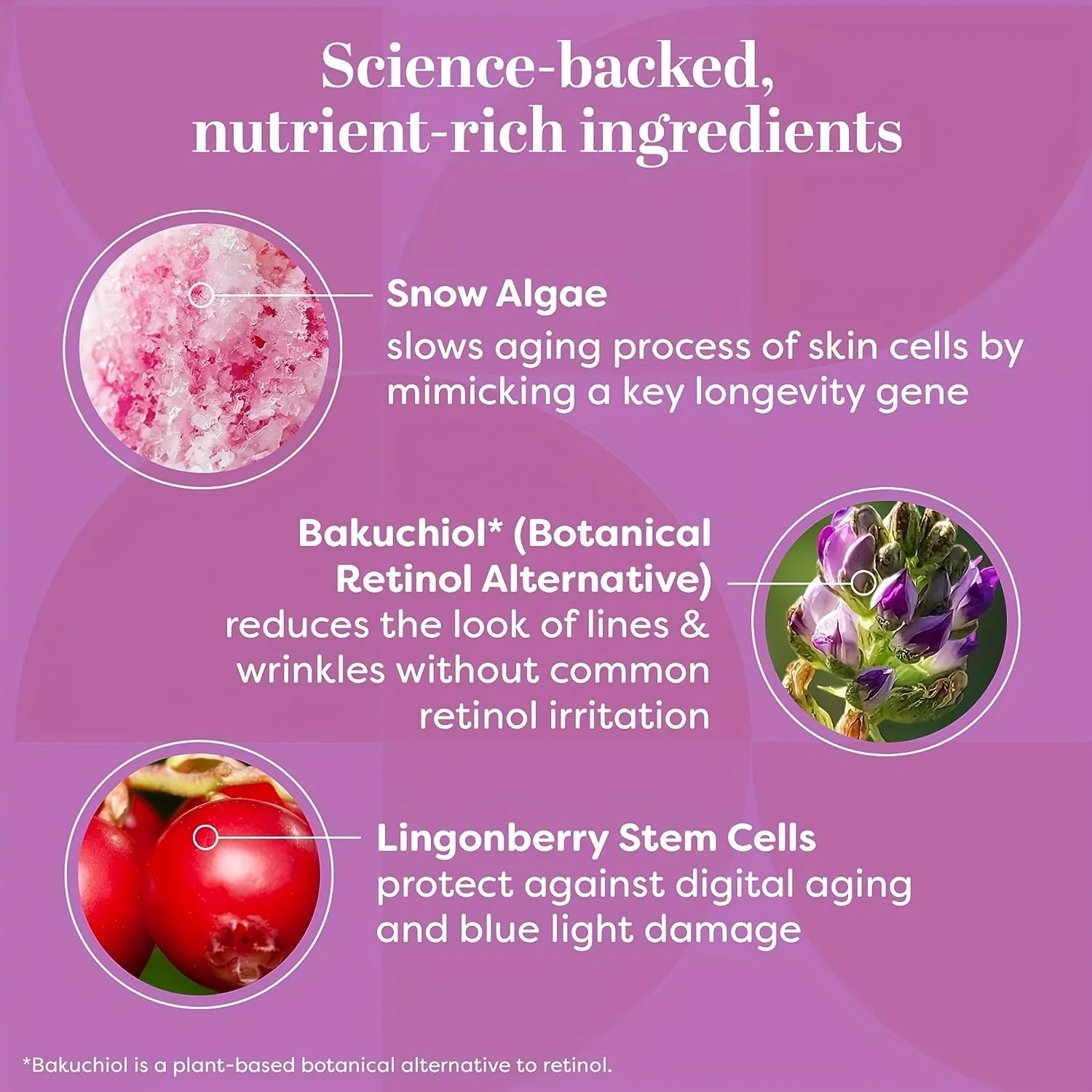 Rejuvenating Face Serum Bakuchiol with Lingonberry Stem Cells Snow Algae