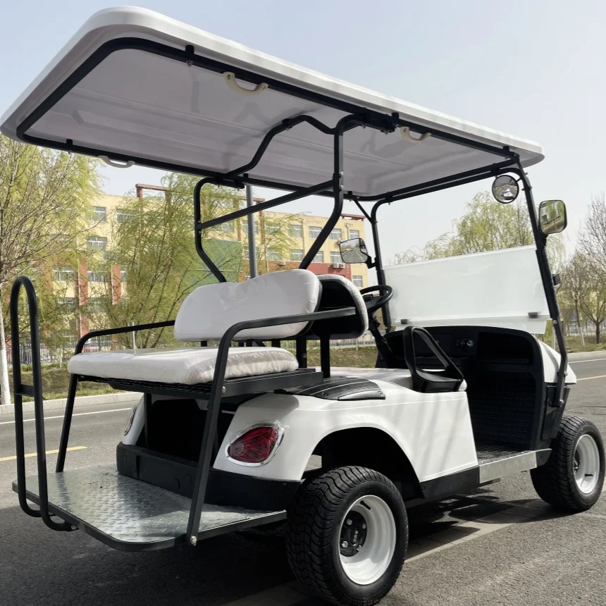 

Solar Panel Powered Go Kart 4+2 Seats Electric Golf Cart 7000W AC System Golf Cart Electric With Front Bumper And Front Basket
