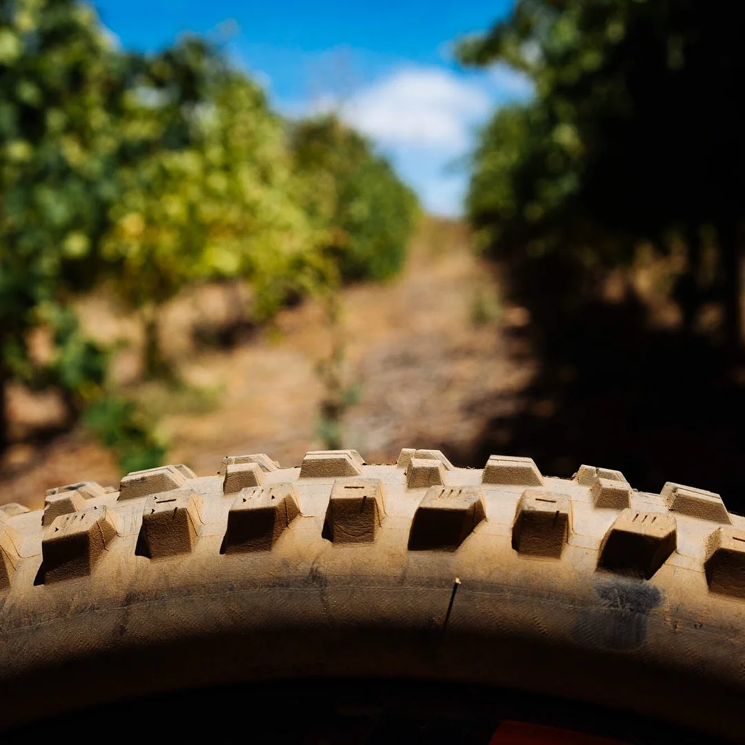 إطار دراجة جبلية ماكسيس أسيجاي سميك للمنحدرات، ذو حبيبات كبيرة، مضاد للانزلاق، سريع الانحدار، 3CG