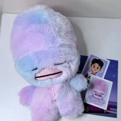 Kpop Idol SHOTARO SUNGCHAN SOHEE peluche poupée porte-clés 15CM dessin animé mignon coton doux sac à dos pendentif Fans Collection cadeaux de noël