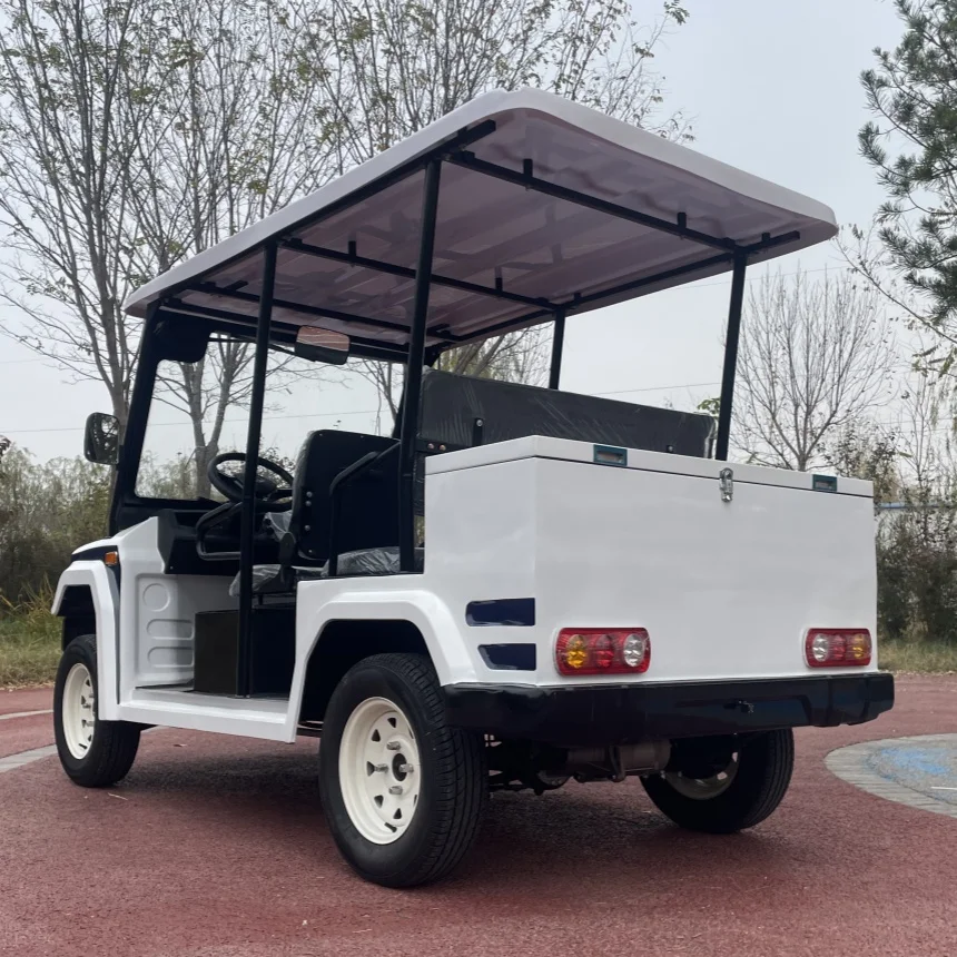 Brand Electric Golf Cart 2/4/6 Seater Multicolor Light Flashing Electric Golf Cart With Rear Cargo Box 14-Inch Off-Road Tires