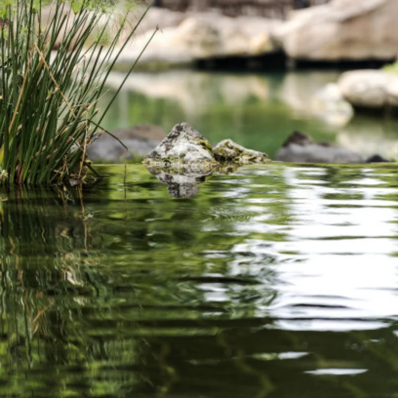 

Rc Crawler Accessories Aluminum Shocks Absorbers Damper for 1/18 RC Crawler TRX4M TRX-4M Bronco Defender Upgrade Parts