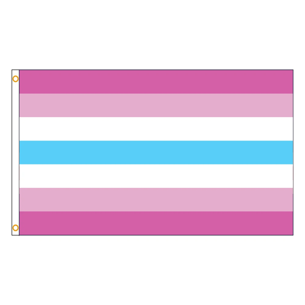 60x90cm 90x150cm 120x180cm LGBT Femboy Pride Flag Tapestry Polyester Banner With Brass Grommets For Wall Decor