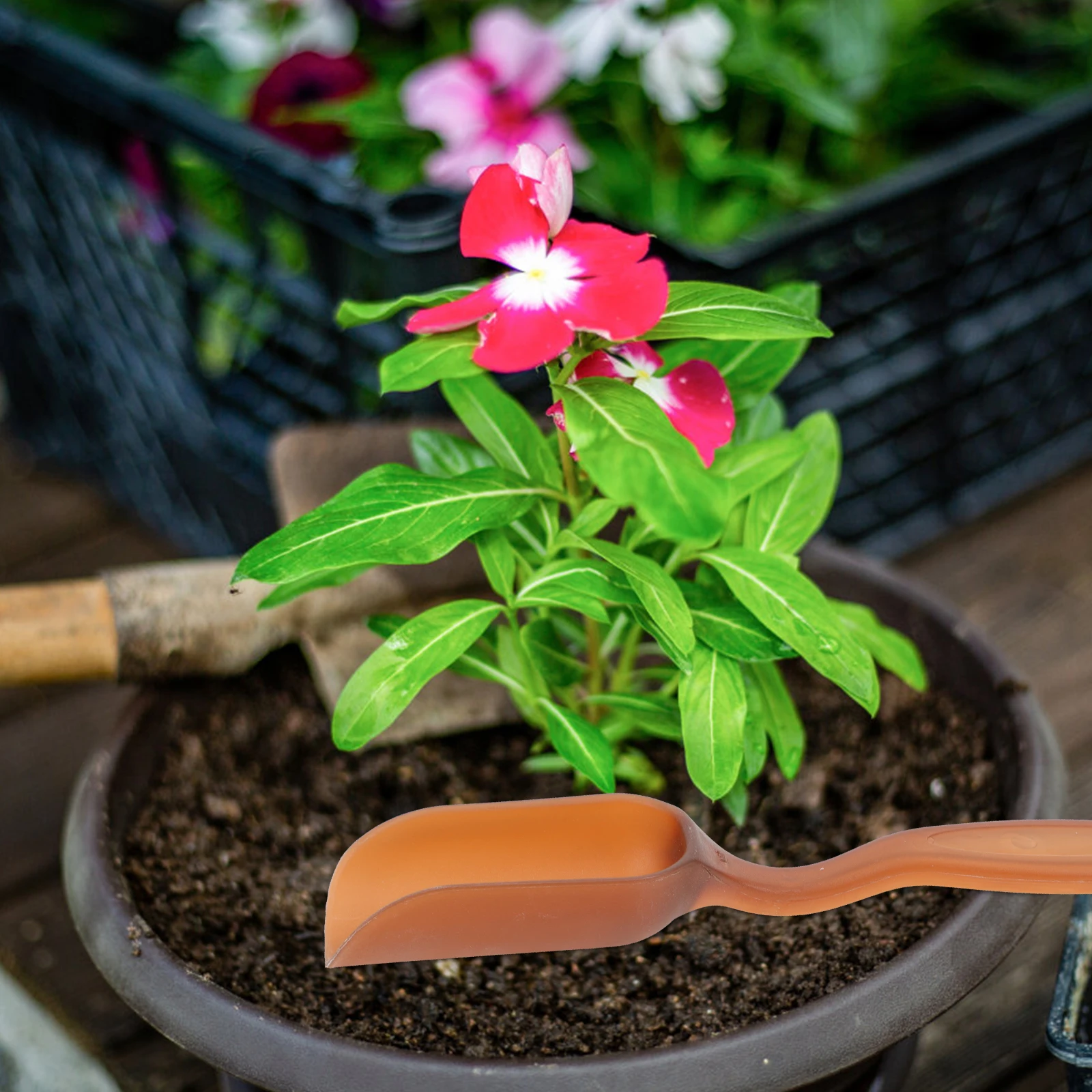 

10Pcs Convenient Plastic Soil Dig Shovels Gardening Tools Simple Design Planting Aids Microlandschaft Garden Paraphernalia