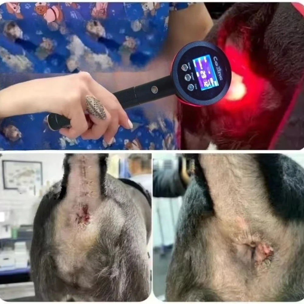 

Cold Laser Therapy Device Recommended By My Pet 650nmX19Diodes+808nmX6Diodes For Dogs Medical Grade Plantar Fasciitis