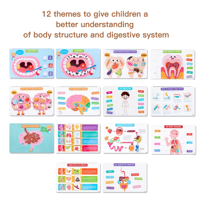 Druk boek voor kinderen Lichaamsstructuurboek Kinderen Vroeg onderwijs Cognitief menselijk lichaam Creatief plakboek Omklapbaar stil boek