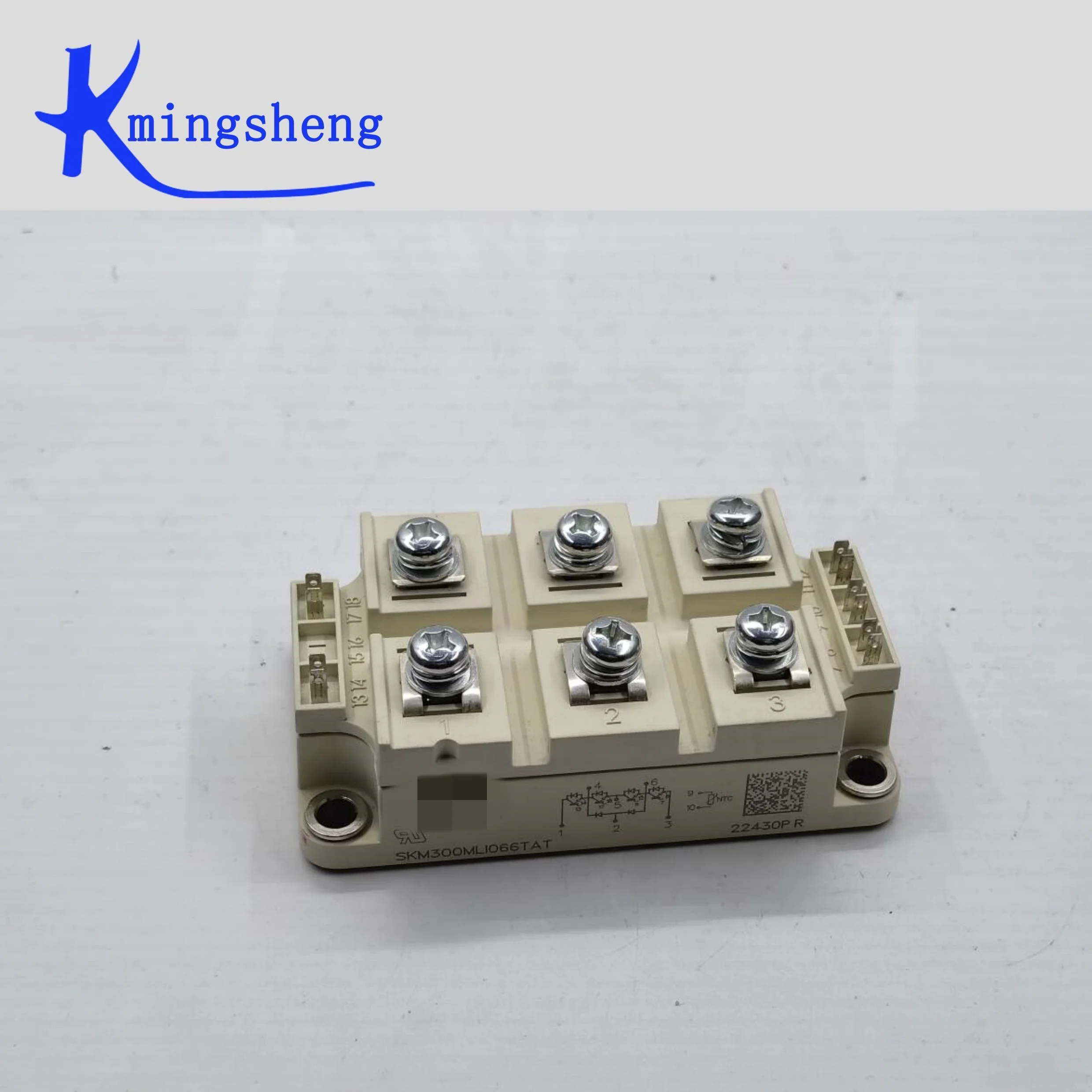 

SKM300GARL066T SKM300MLI066TAT FREE SHIPPING NEW AND ORIGINAL MODULE