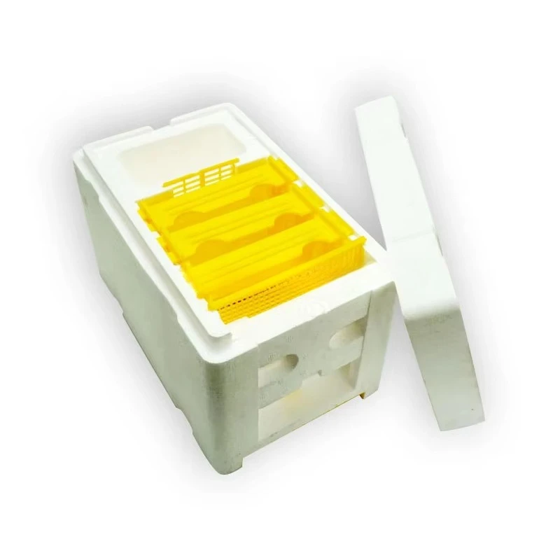 Plastic Mini Beehiv…