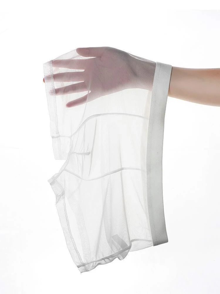 Hot Men's Thin Transparent Underwear Mid Waist Mesh Sexy Bottom Pants Youth Almost Naked See Through Cueca Boxer Masculino 남자 팬티