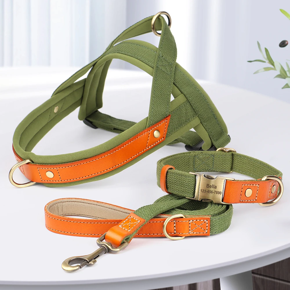 Personalized Nylon Dog Collar Leash Quick Control Harness Dogs Buckle Collars Leads Soft Padded Harness For Dogs Cats Perro