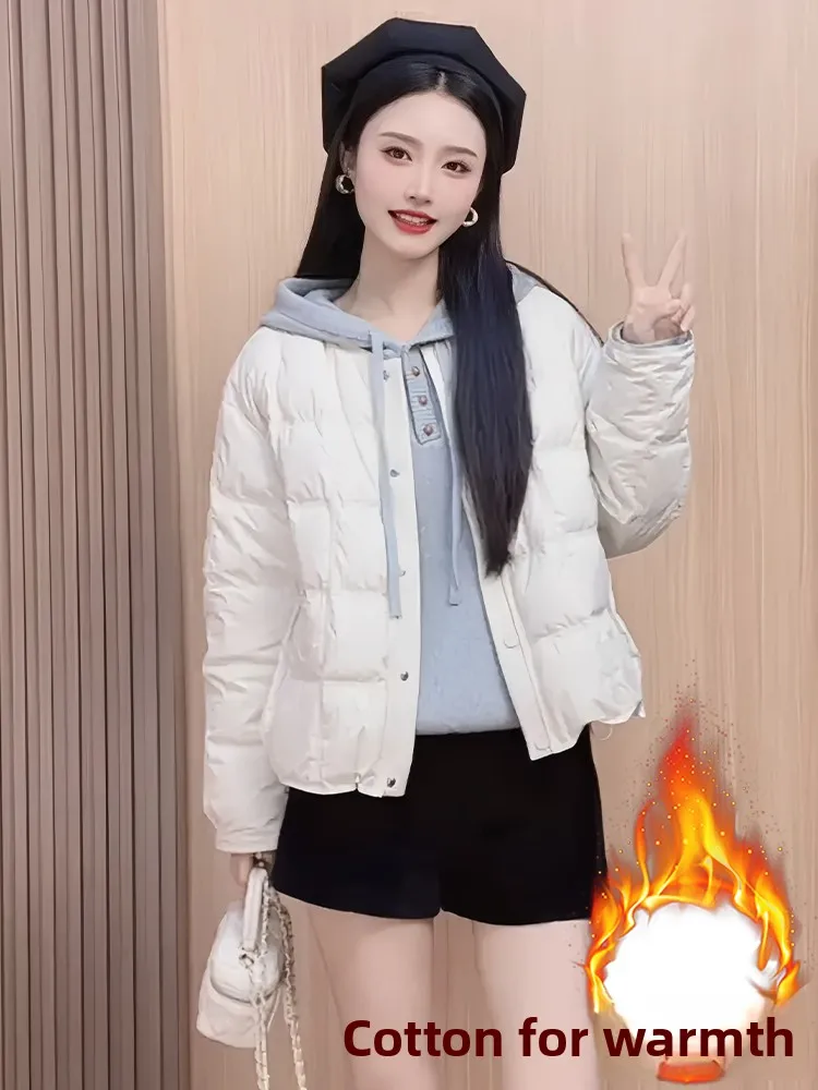 Giacca Imbottita Invernale da Donna in Cotone Foderato, Design Trendy Europeo