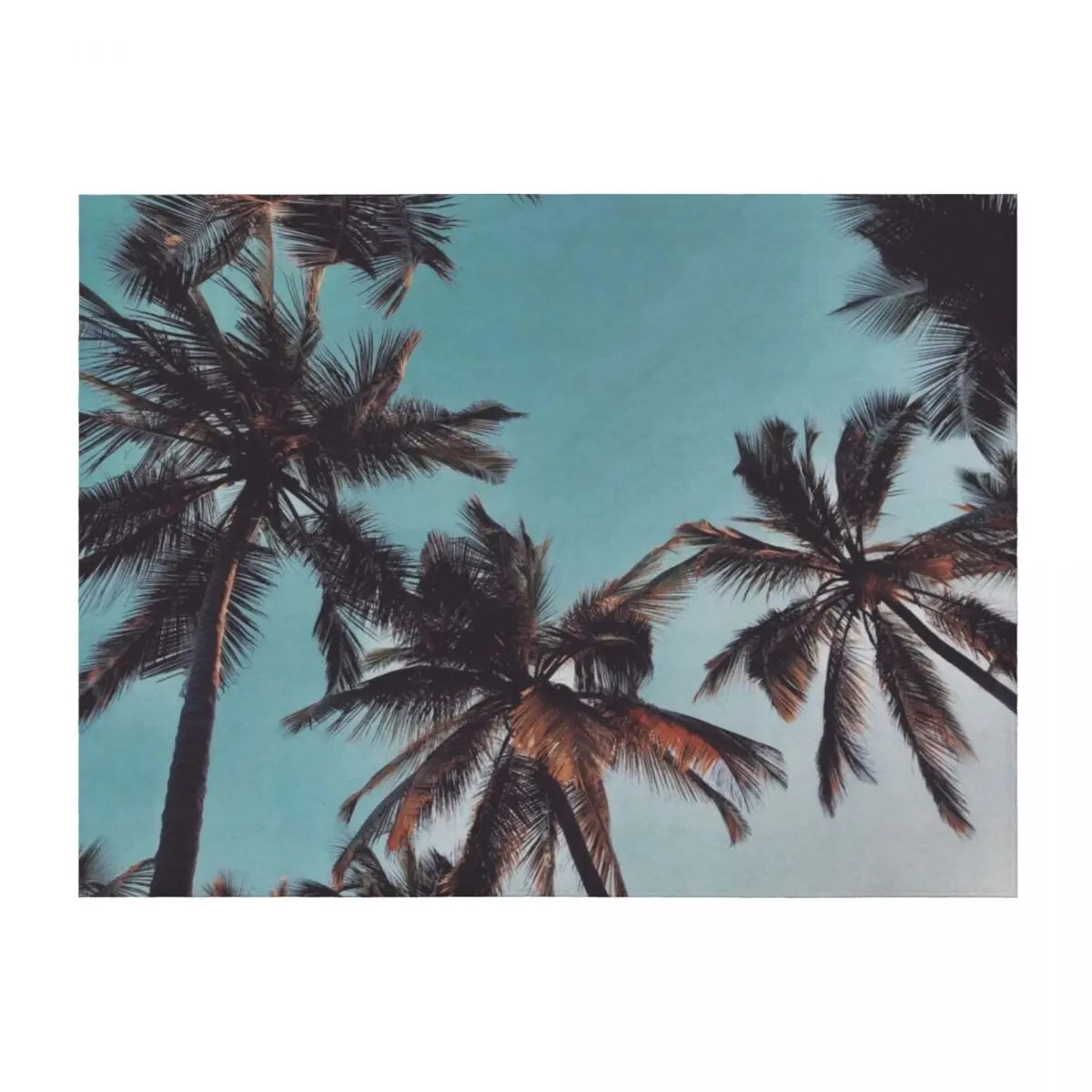 

Palm Trees Throw Blanket Thin Winter beds Polar Blankets