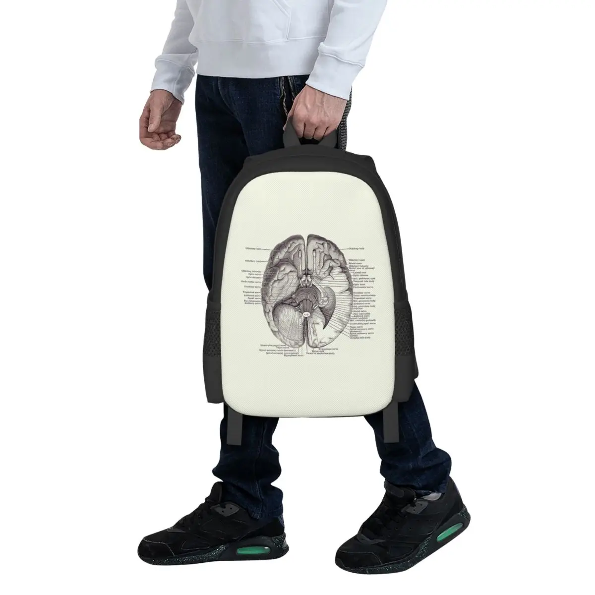 Brain Nervous System Diagram - Vintage Anatomy Student Backpack School Bag Hiking Travel Daypack for Bookbag Shoulder Bags