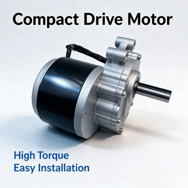Wheelchair motor 24V250W motor motor ZD101AZ1 electric modification