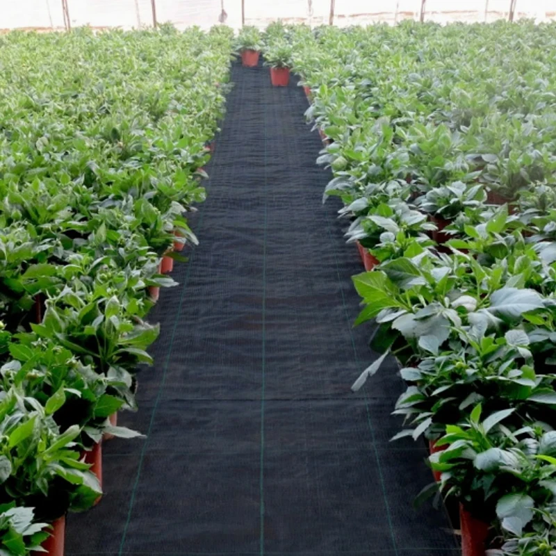 Verstärkte Unkrautvlies-Gewebeplane, Langlebige Vlies-Bodenabdeckung für Gartenbau und Landwirtschaft – Detail 10
