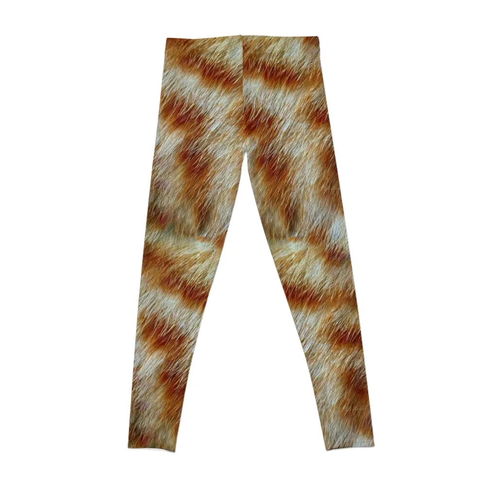 Orange Tabby Kitty Fur Texture Leggings gym womans workout shorts Training pants Womens Leggings