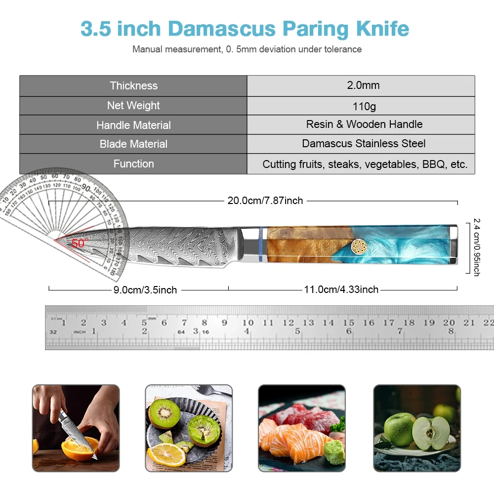 Paring Knife 3.5 Inch VG10 Damascus Super Steel 67-Layers Kitchen Small Knives Utility Fruit Knife Full Tang Wood & Resin Handle