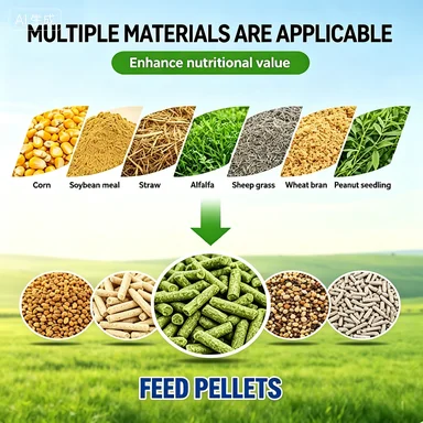 New 200kg/h Diesel Engine Aluminium Feed Pellet Maker For Poultry Fish & Rabbit Adjustable Pellet Sizes CE Certified JPD Brand