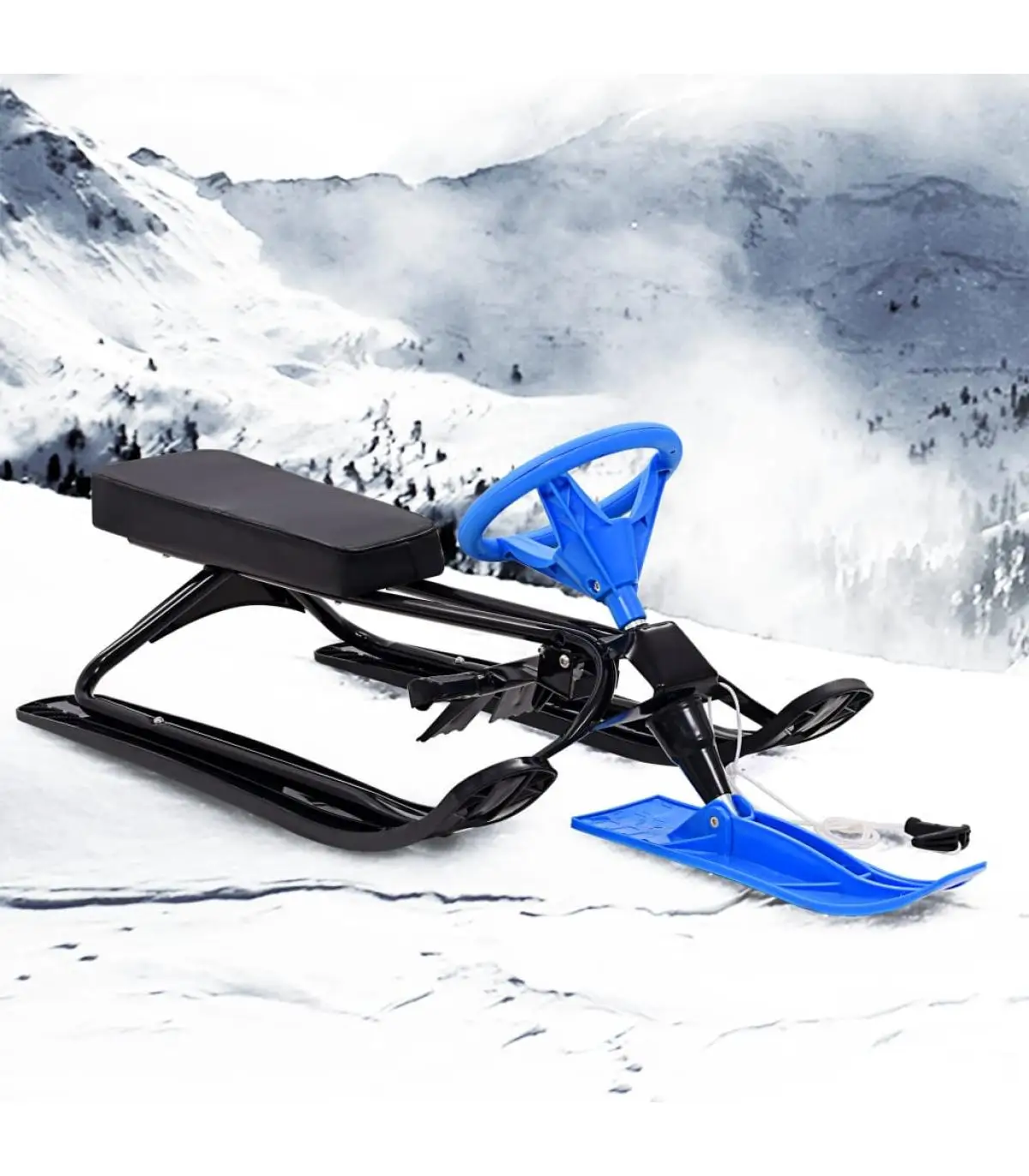 Black and Blue Bob racing snow sled