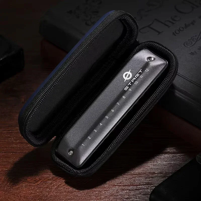 2025 هارمونيكا دياتونيك 12 فتحة بريميوم بلوز هارمونيكا للمبتدئين والأطفال