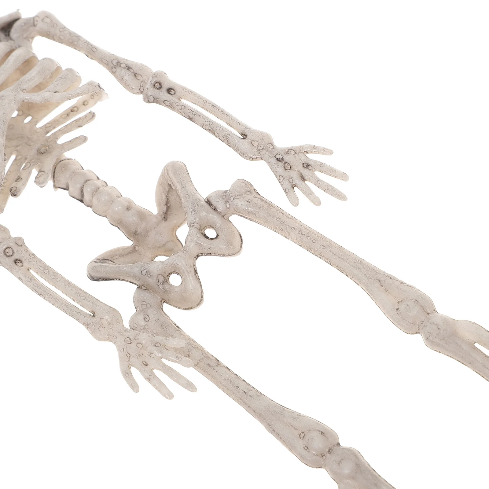 

6pcs Realistic Simulated Halloween Decorative Skull Small Plastic For Party Haunted House Scene Ornament Halloween