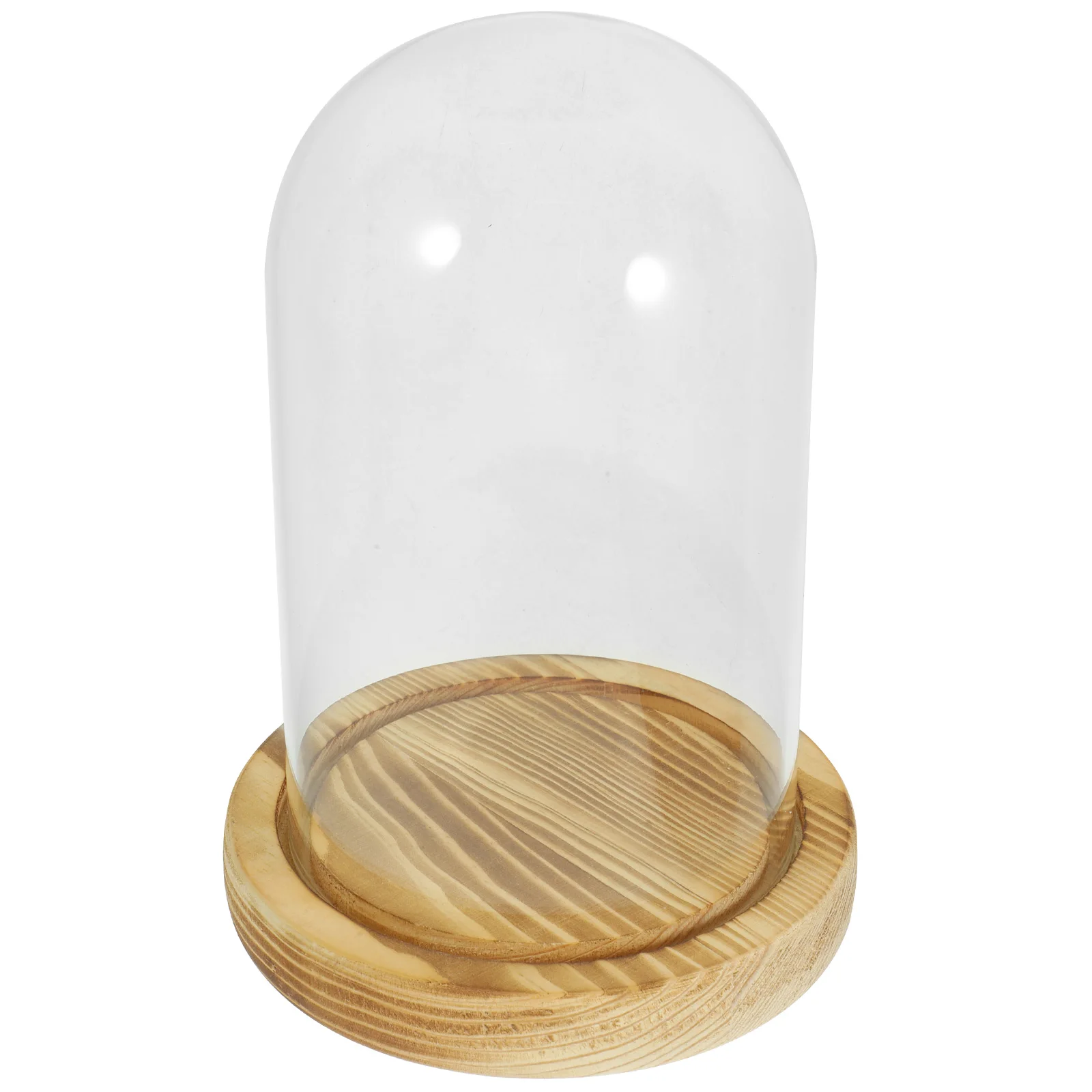 

Glass Dome With Wood Base Flower Protector Ornament Transparent Display Cover For Dried Flowers Preserved Plant Decorative