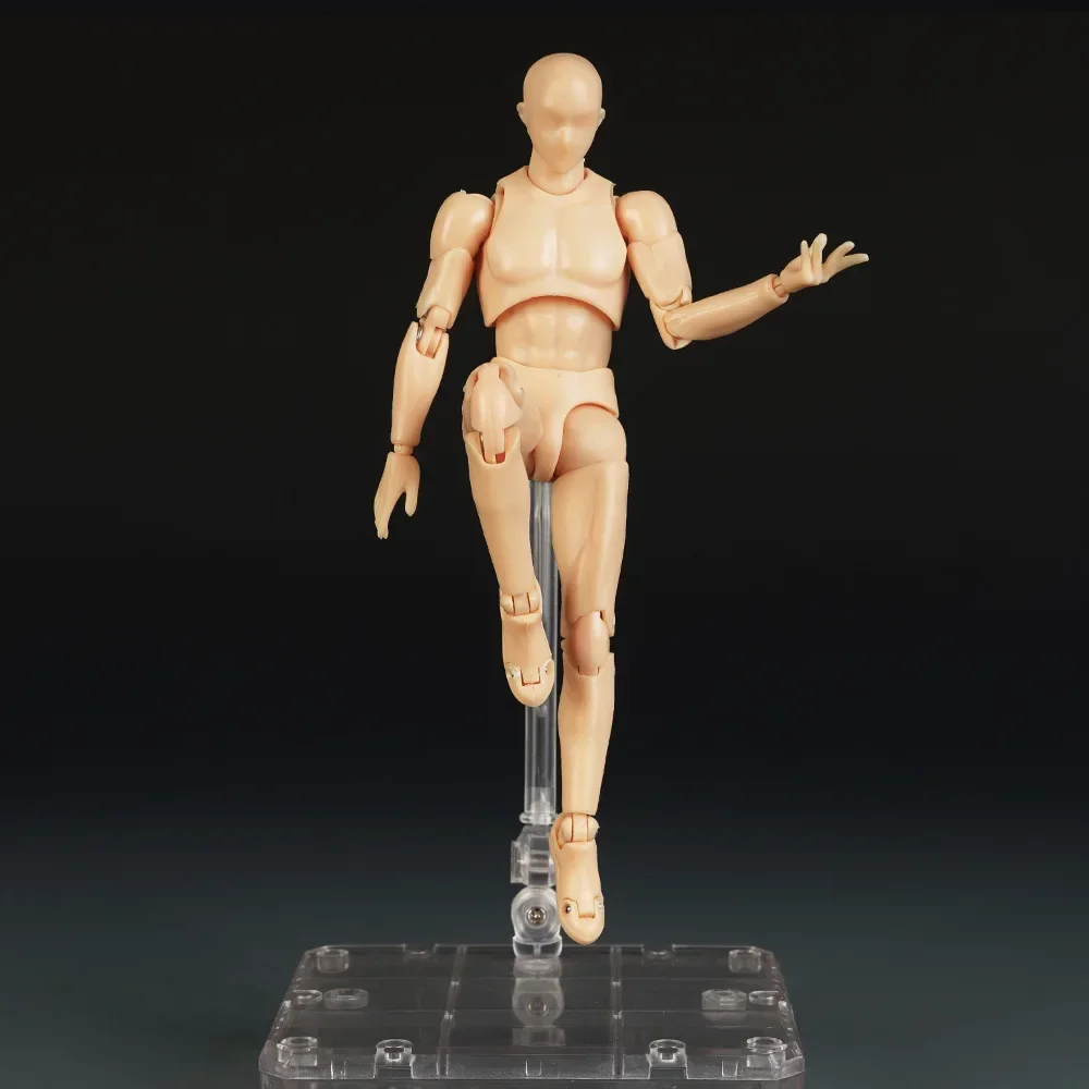 Skizze Zeichnen Männlicher Weiblicher Beweglicher Körper Kun Body Chan Gelenkschmerzen Anime Figur SHF Actionfigur Spielzeugmodell Zeichenpuppe – Detail 11
