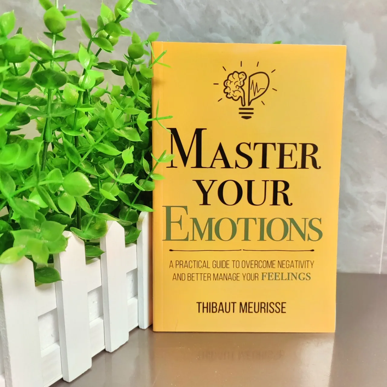 Master Your Emotions By Thibaut Meurisse Inspirational Literature Works To Control Emotions Novel Book