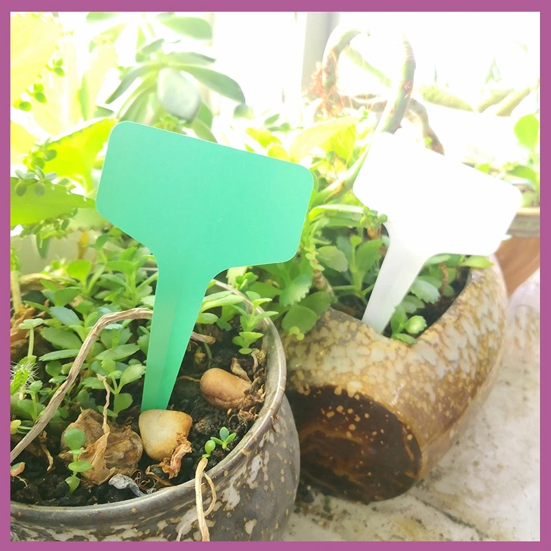 25/50/100pcs PVC Greenhouse Plant T Tags Labels Flower Pots Plastic Markers Sign Waterproof Herbs Plant Garden Tools Supplies B2