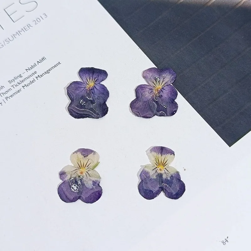 4 piezas de joyería de resina con claveles secos y agujeros, especímenes de plantas, flores prensadas, colgantes DIY, pinzas para el pelo, pendientes, regalos pequeños perfectos