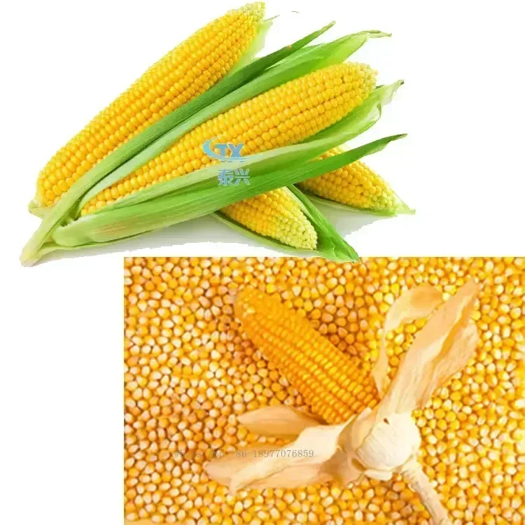 Machine de décorticage de maïs sec mobile industriel, décortiqueuse de maïs, fabriquée en Chine