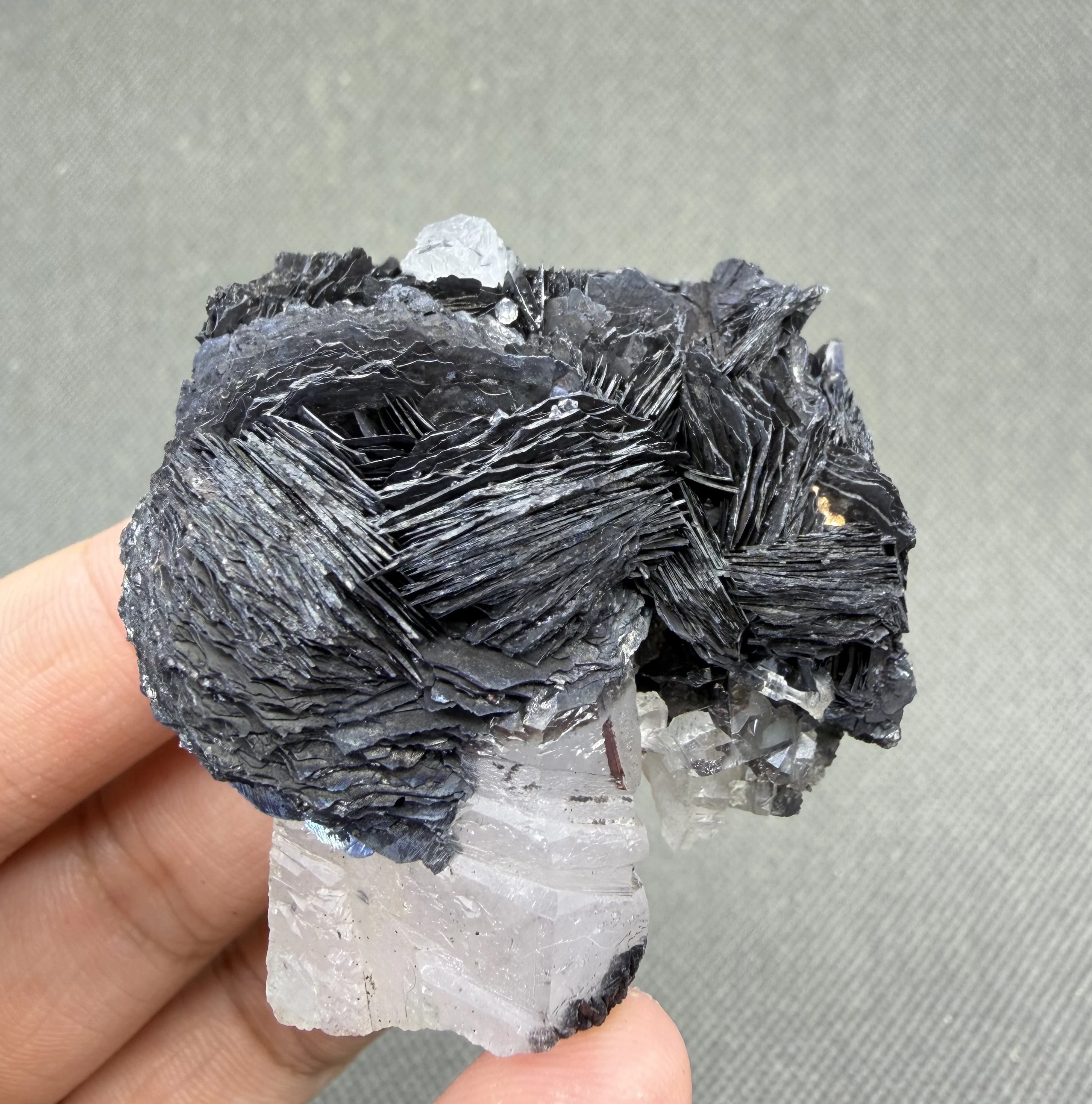 121 g Natural Specularite on White Quartz Mineral Specimen, Hematite Crystal Cluster, Raw Stone Collection Healing Crystal
