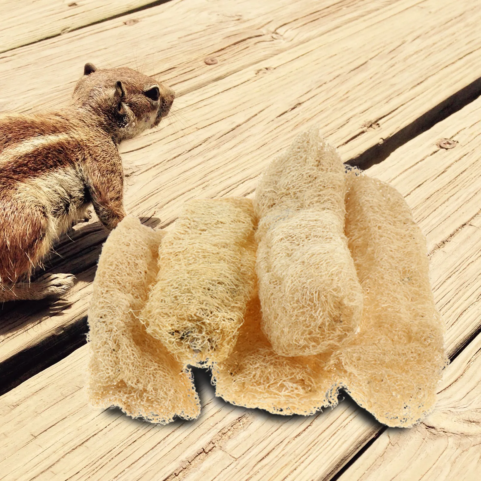 

5pcs Natural Loofah Body Sponge Scrubber Exfoliating Tool For Skin Care Bath Pet Chewing Hamster Chew Molar Cleaner Tooth