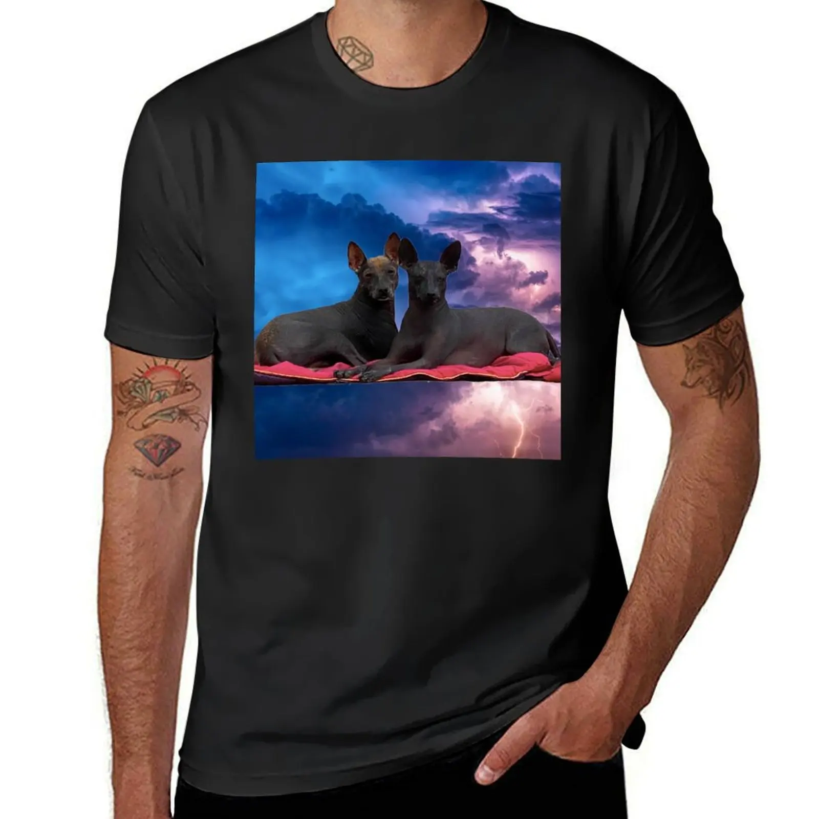 Xolos in a storm T-Shirt customizeds kawaii clothes plain Short sleeve tee men