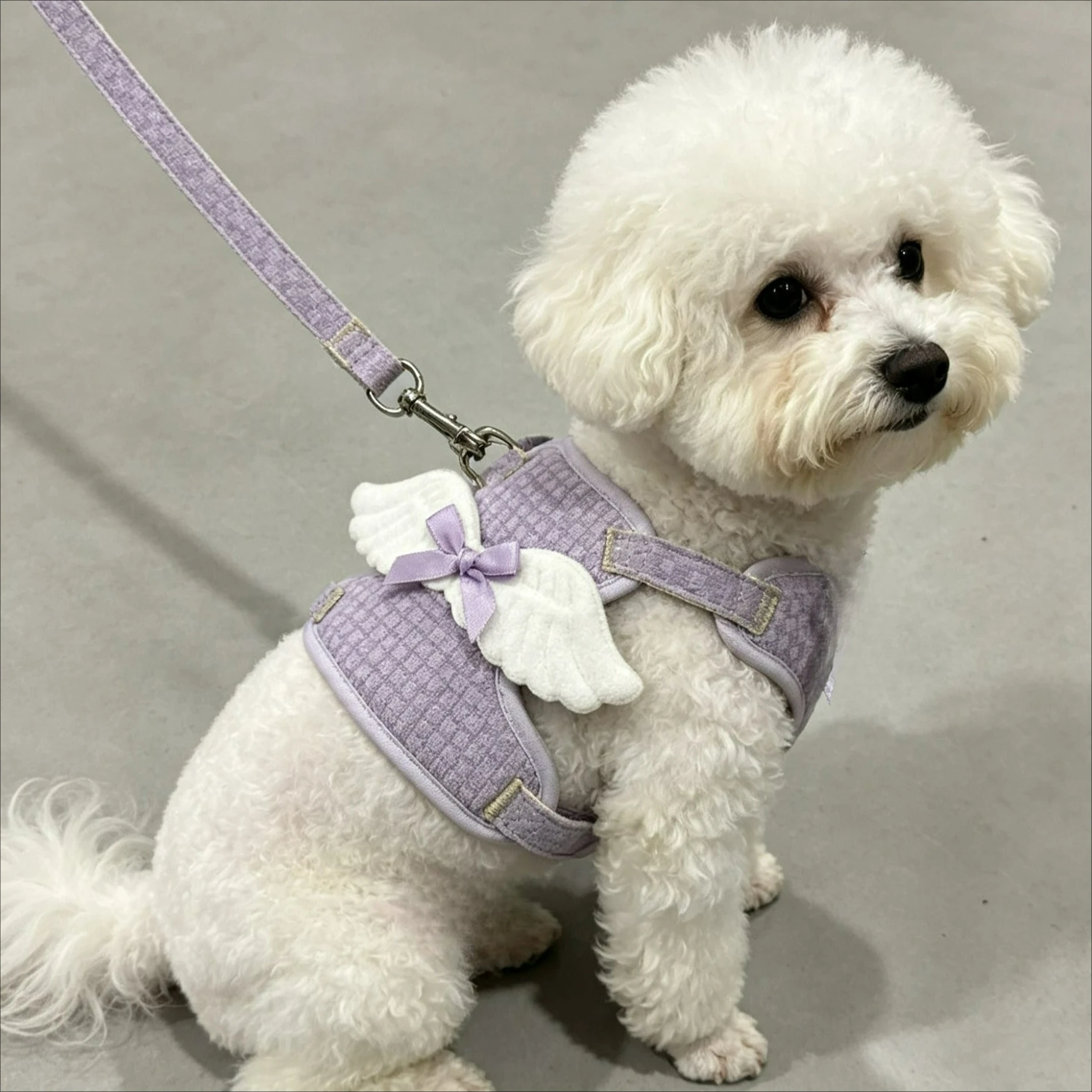 Angel Wing Cat Harness and Leash Set  Adjustable Kitten Vest Harness for Walking Escape-Proof Soft Mesh Breathable Also Puppy
