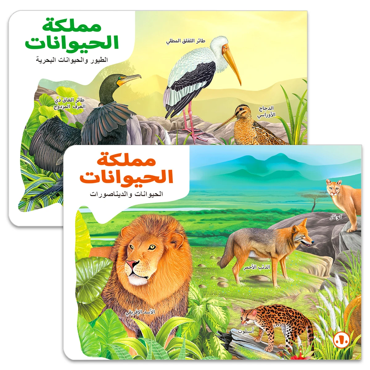 

Arabic Animal Recognition Picture Book, featuring marine and jungle animals, with exquisite illustrations to capture attention.