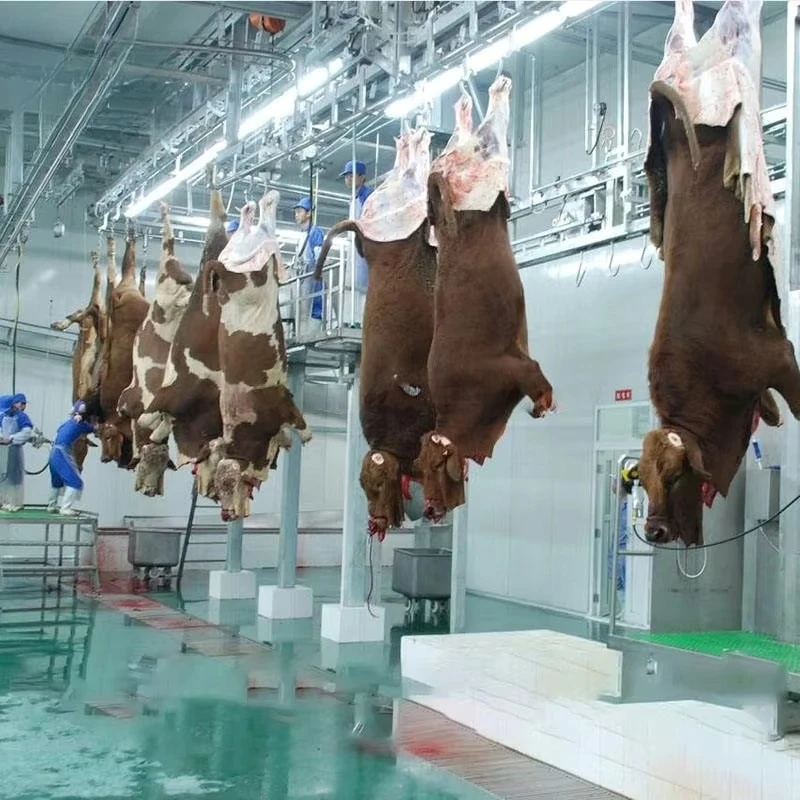 50-300 Halal Cattle Slaughter Equipment with Motor Engine High Productivity Beef Slaughter Line 220V/380V
