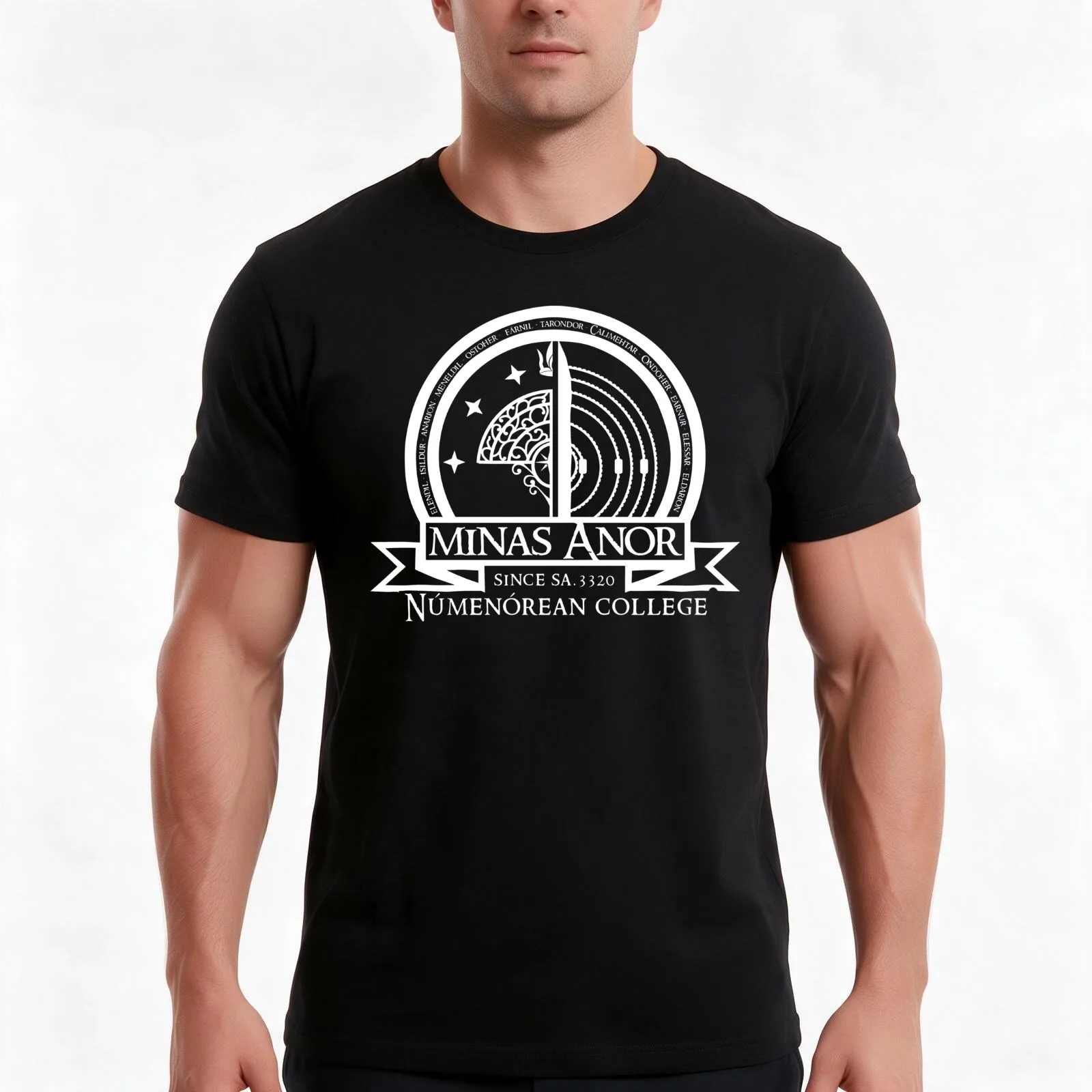 Minas Anor Numenorean College T-Shirt, Summer Casual Cotton Tee, Oversized Streetwear Tops, Vintage Graphic Print, 100% Cotton