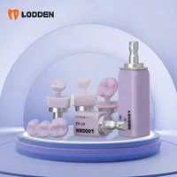 LODDEN 1 caja de bloques de disilicato de litio B40 laboratorio Dental HT/LH/MT cerámica de vidrio C14 para CAD CAM Sirona Cerec materiales de chapa Dental