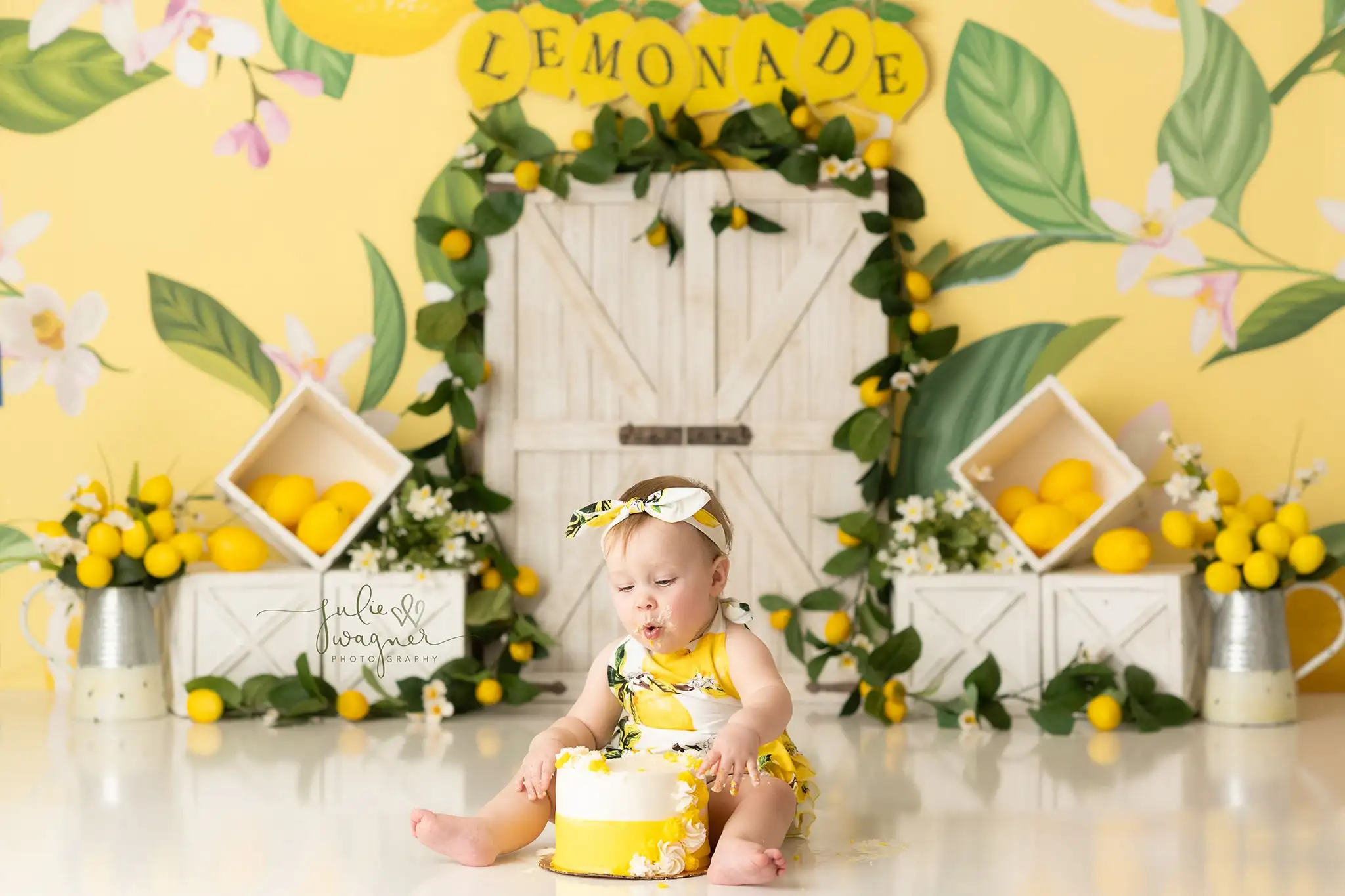 Fruit Theme Photography Backdrop Kids Baby Cake Smash Photocall Decors Lemon and Watermelon Child Girls Adult Summer Backgrounds