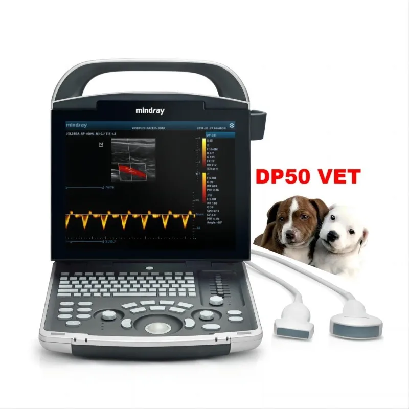 Veterinary Dp50 Vet Black White Ultrasonic Device Portable PW Function Eco Ultrasound Scanner With Mic-convex Probe