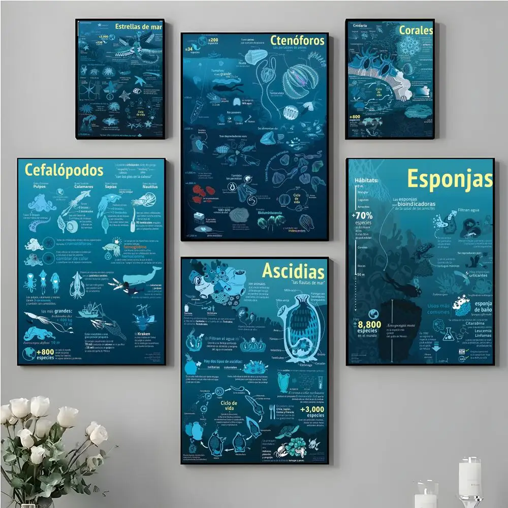 Enigmatic Fascinating M-Mysterious Marine Creatures Poster High-definition stickers ideal gifts for living rooms hallways