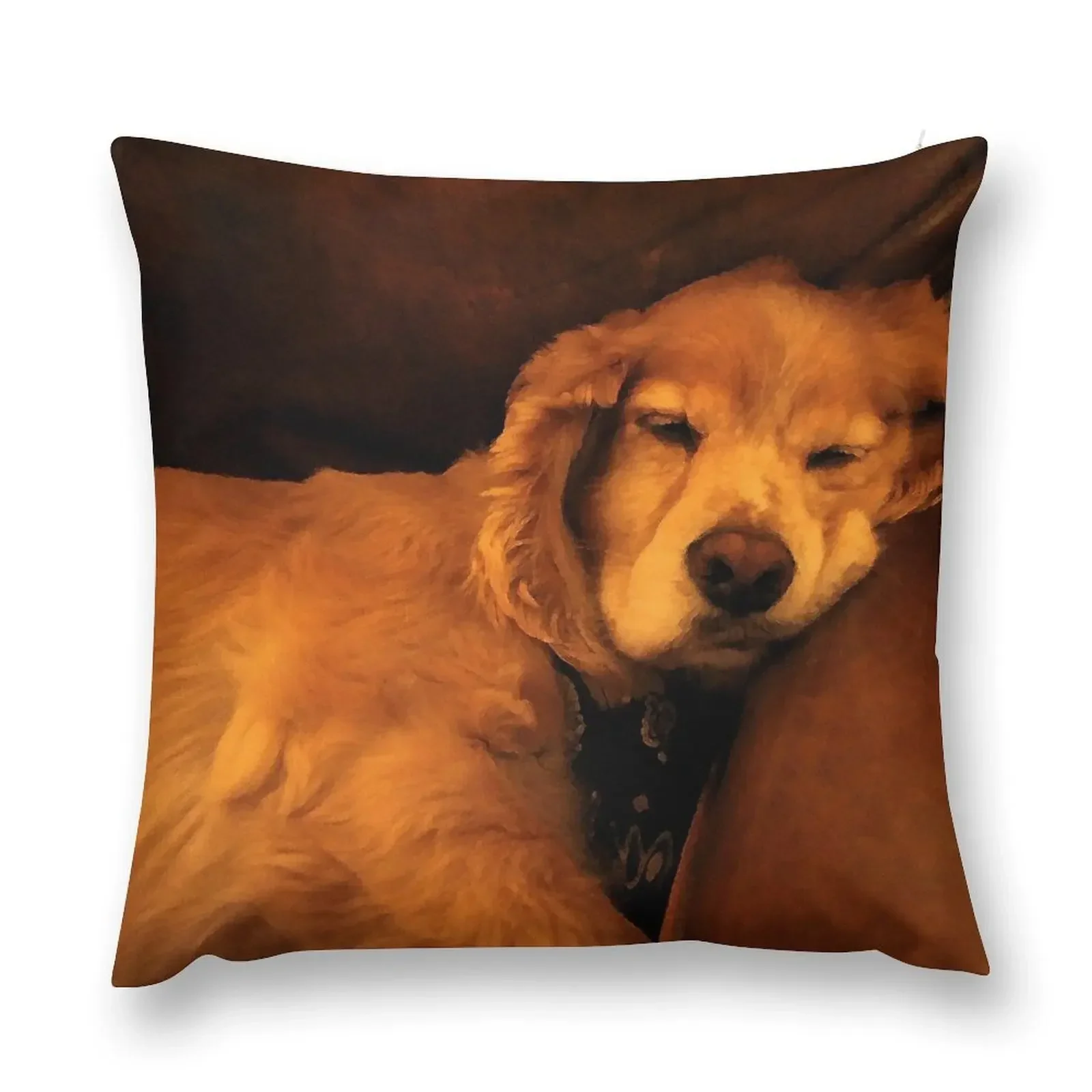 

Couch Potato Throw Pillow Sofa Pillow Cover Decorative Cushion Covers For Sofas pillow