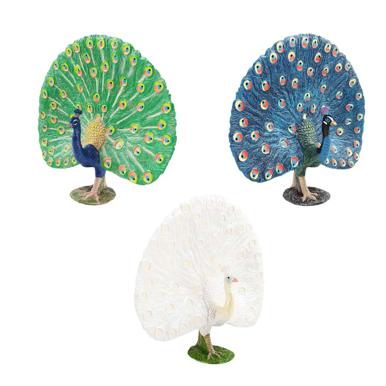 Animal Figure Decorative Ornament Crafts Children Toy Handpainted Realistic Peacock Model for Home Decoration Office Girls Boys