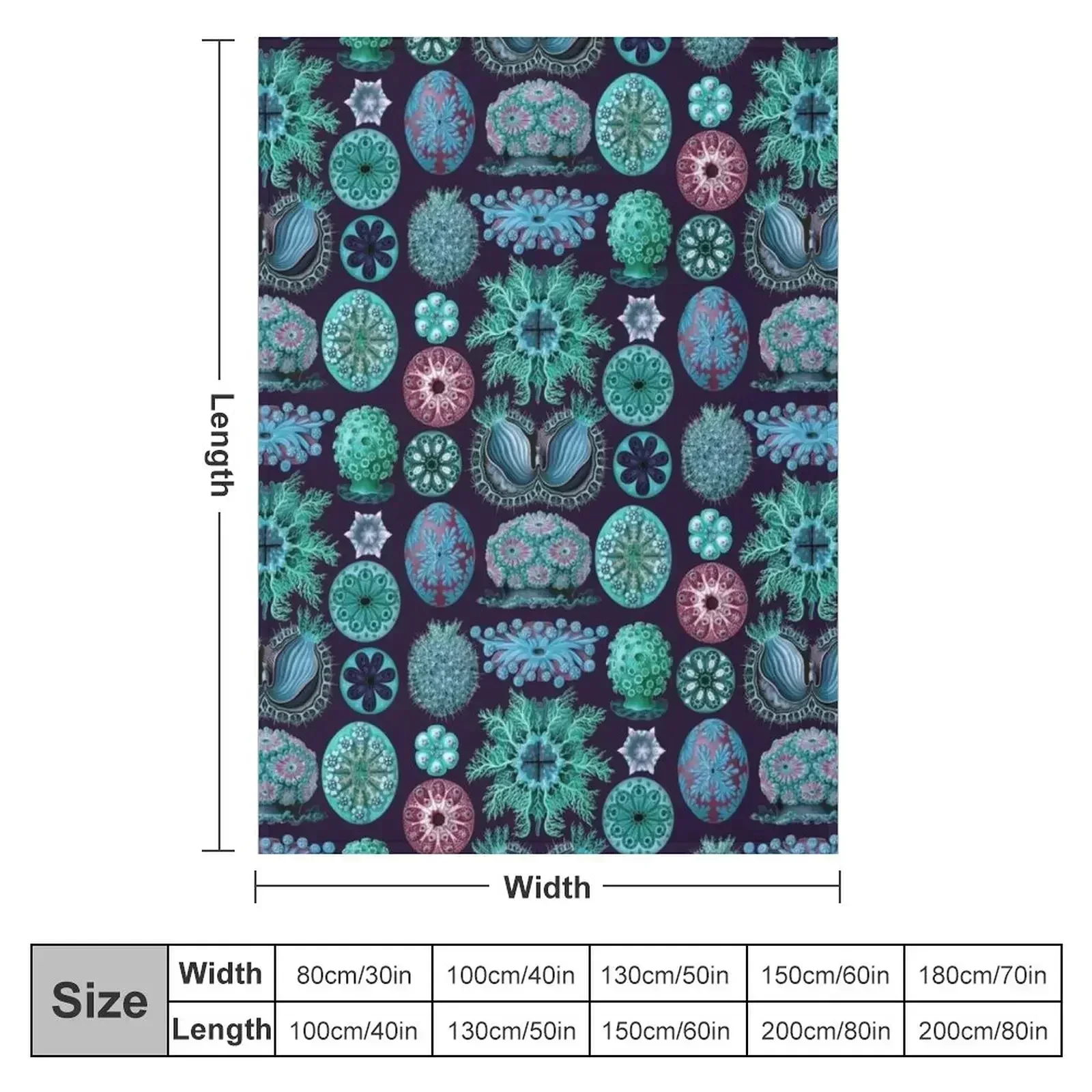 Ernst Haeckel Ascidiae Sea Squirts Teal Colorway Throw Blanket Beach Flannel Plush Winter beds Blankets