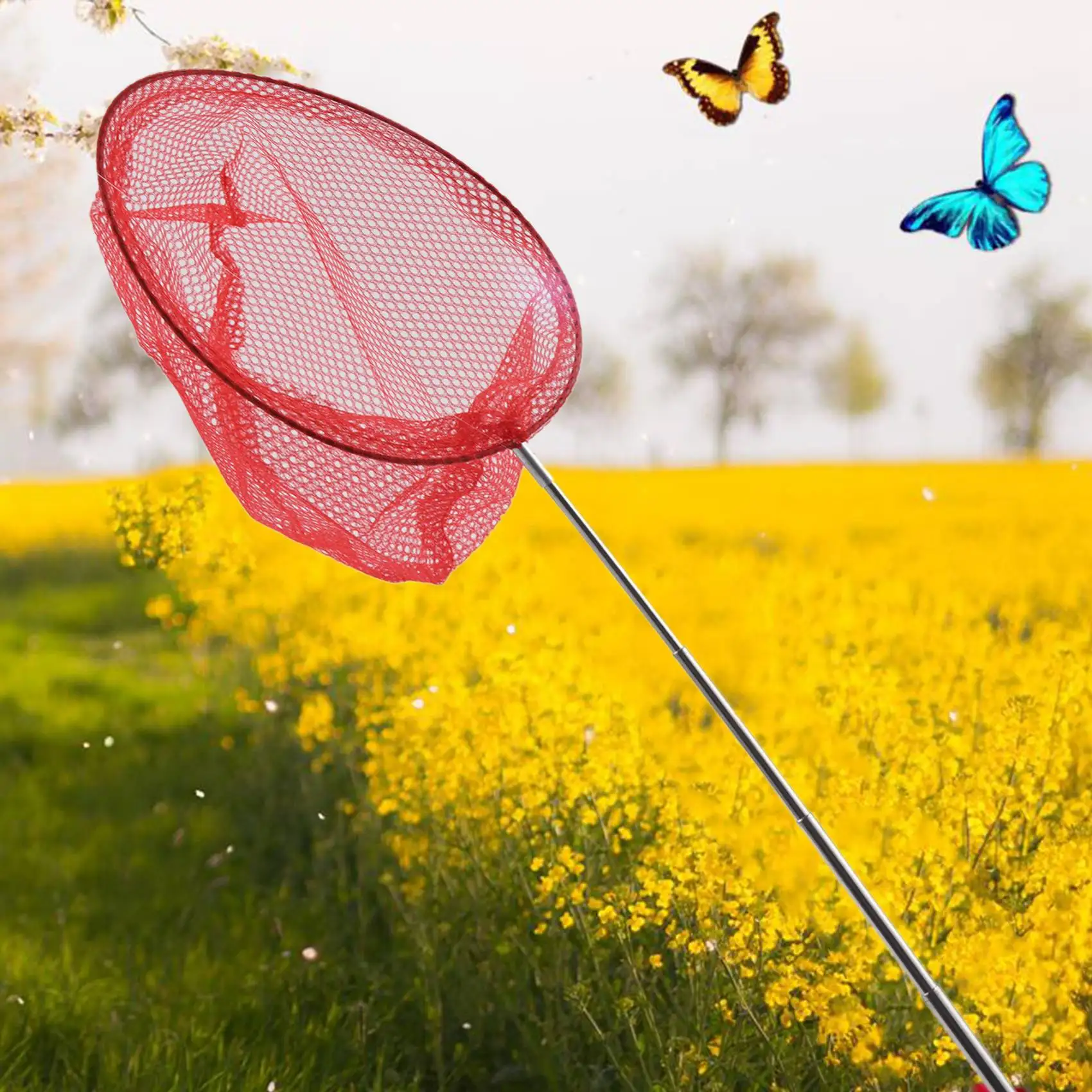 Rede de pesca telescópica de aço inoxidável, rede de pesca com captura de borboleta ao ar livre, ferramenta portátil telescópica ao ar livre