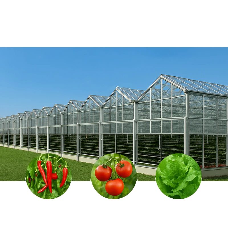 

2025New Arrival Prefabricated Glass Green House Design Solar Panel Multi-Span Greenhouse for Agriculture Projects